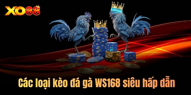 Các loại kèo đá gà WS168 siêu hấp dẫn hấp dẫn 