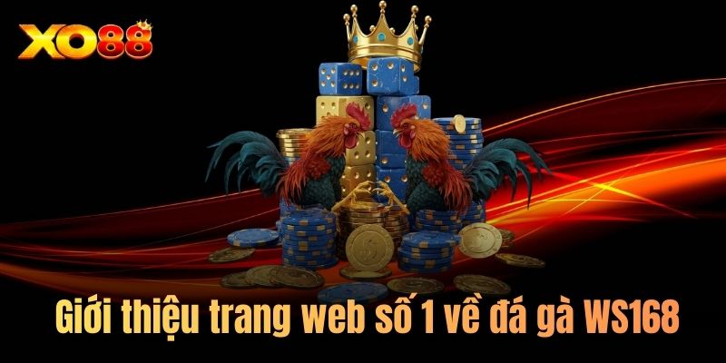 Giới thiệu trang web số 1 về đá gà WS168 